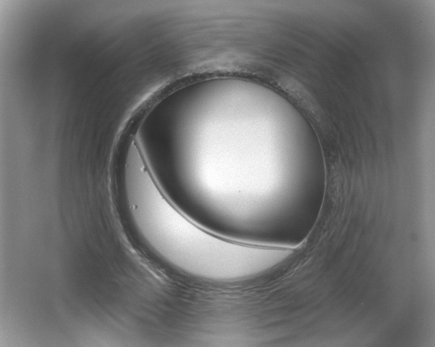 X0000065990680200603031002