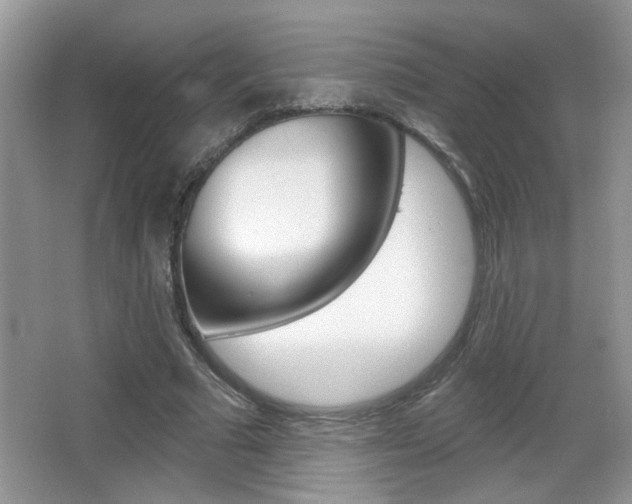X0000065990681200603031002
