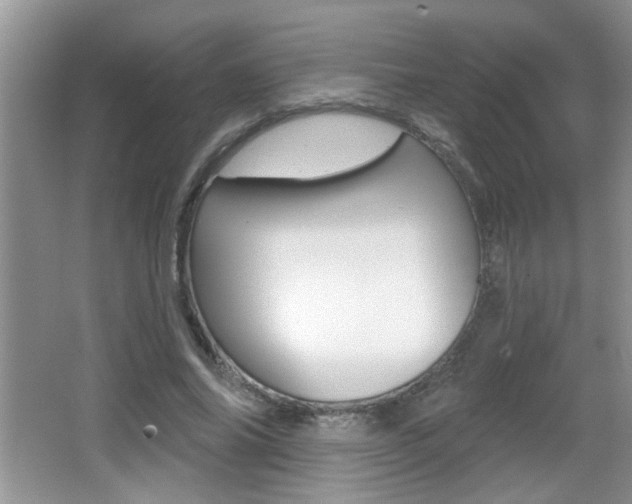 X0000065990686200603031002