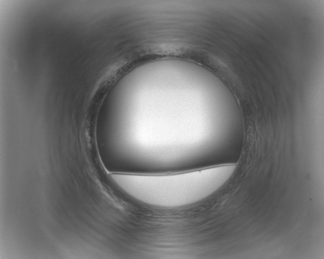 X0000065990688200603031002