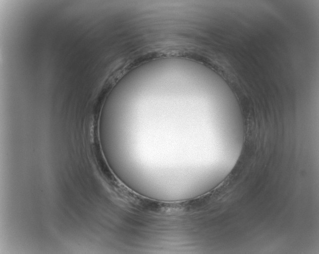 X0000065990694200603031002