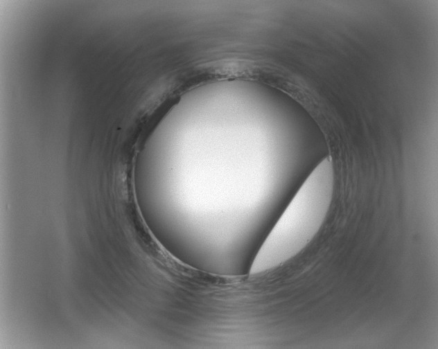 X0000065990696200603031002