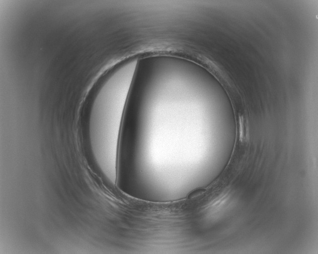 X0000065990723200603031001