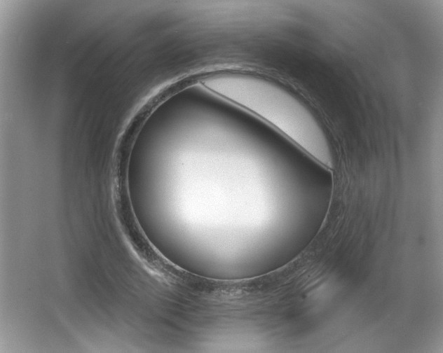 X0000065990728200603031001
