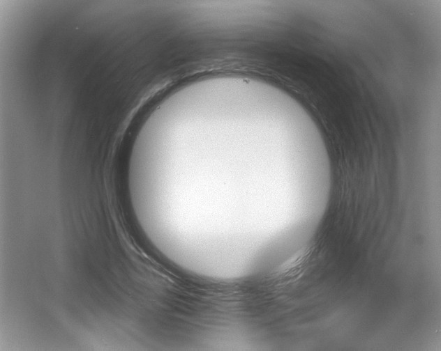 X0000065990731200603031001