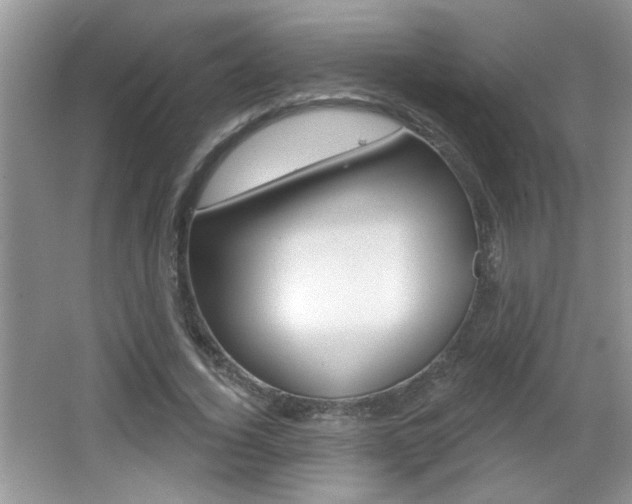 X0000065990732200603031001