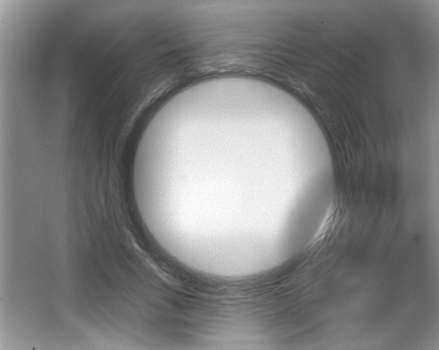 X0000065990735200603031001