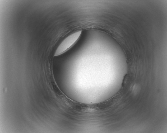 X0000065990743200603031001