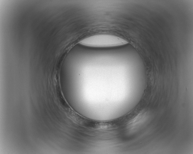 X0000065990746200603031001