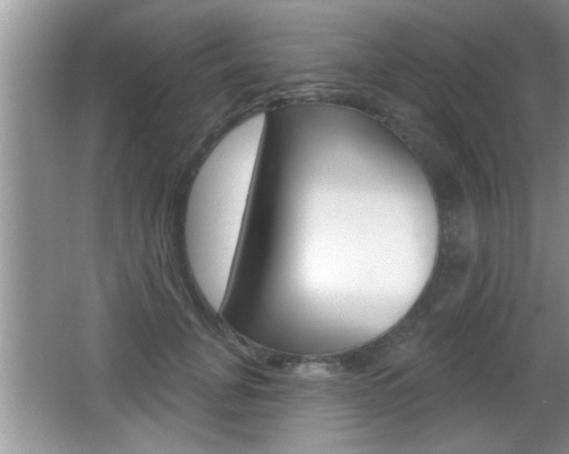 X0000065990751200603031002