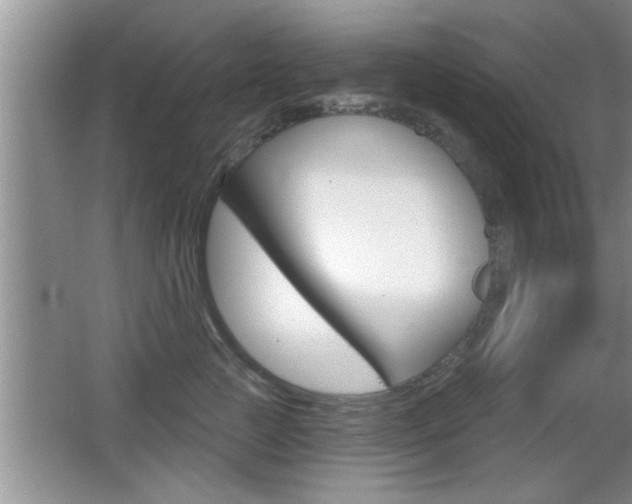 X0000065990761200603031002