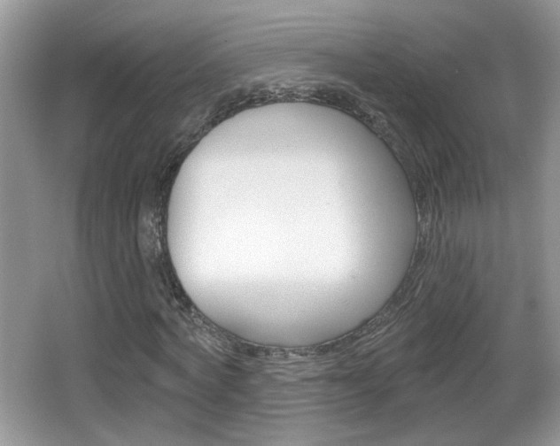 X0000065990772200603031001
