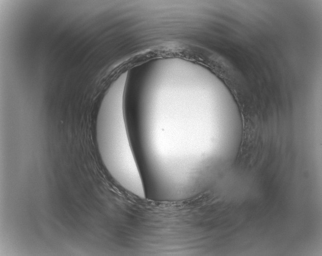 X0000065990773200603031001