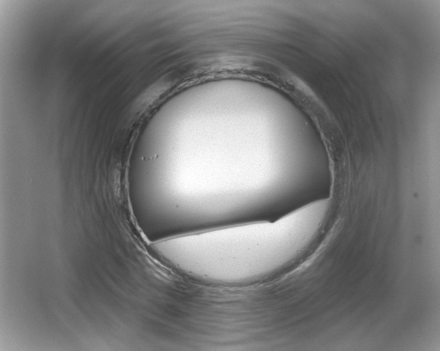 X0000065990777200603031001