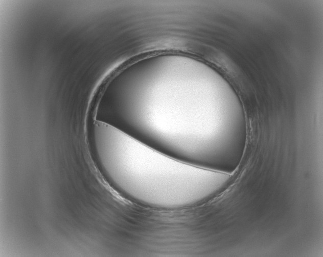 X0000065990780200603031001