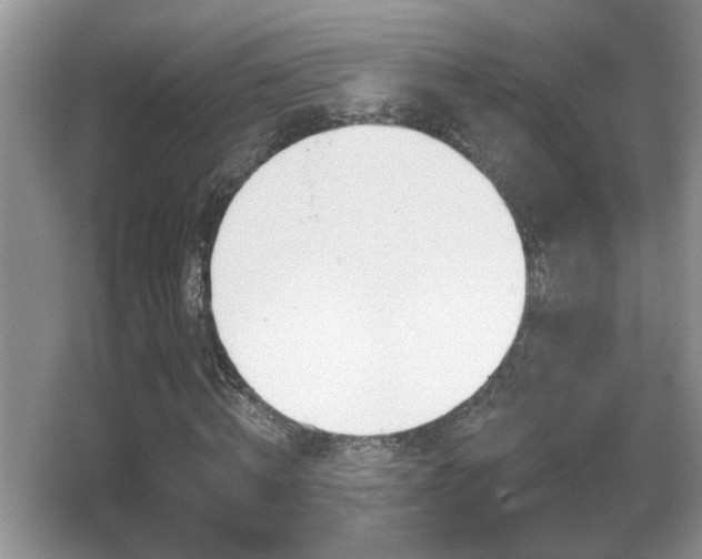X0000065990820200603030959