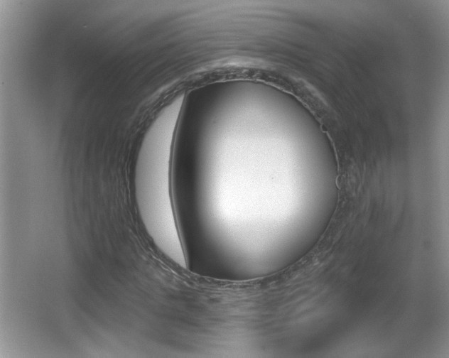 X0000065990821200603030959