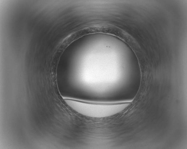 X0000065990822200603030959