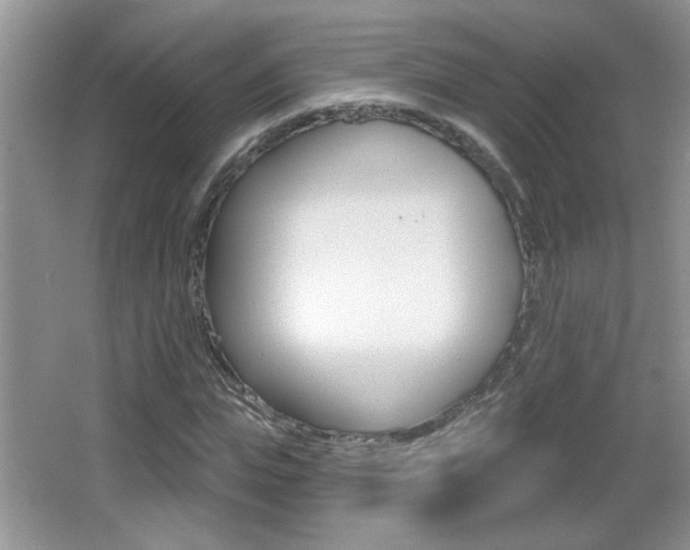 X0000065990823200603031000