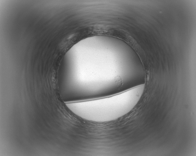 X0000065990867200603030959
