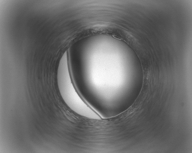 X0000065990868200603030959