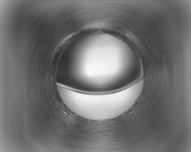 X0000065990872200603030959