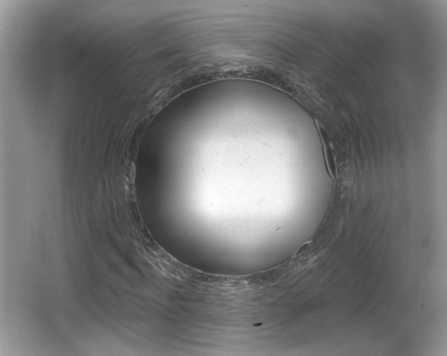 X0000065990916200603030958