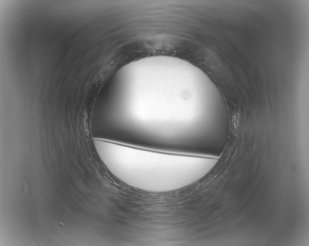 X0000065990963200603030958
