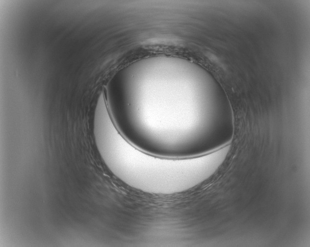 X0000065990965200603030958