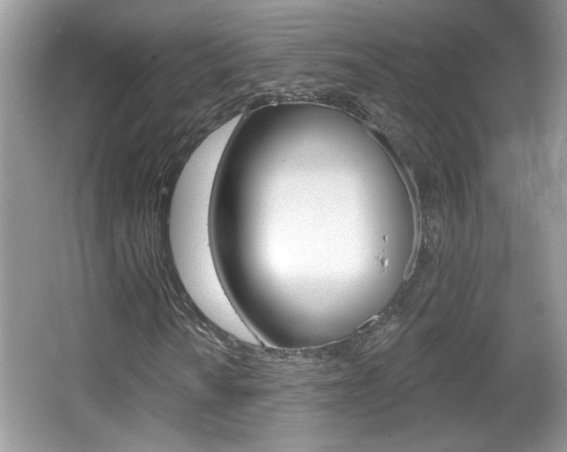 X0000065991010200603030956