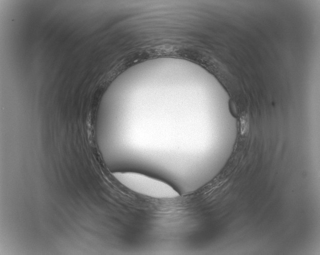 X0000065991011200603030956