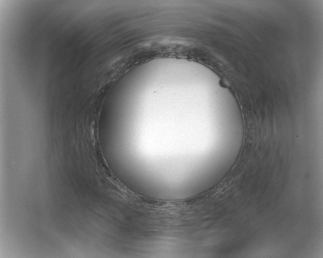 X0000065991013200603030956