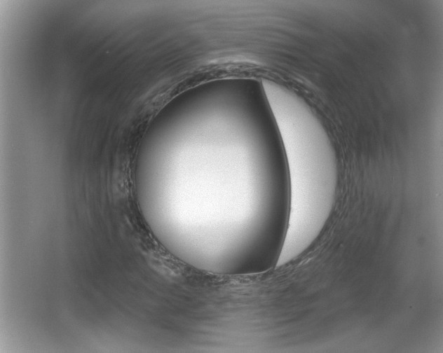 X0000065991014200603030956