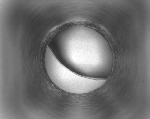 X0000065991016200603030956