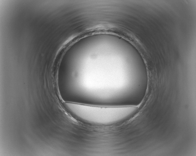 X0000065991018200603030956