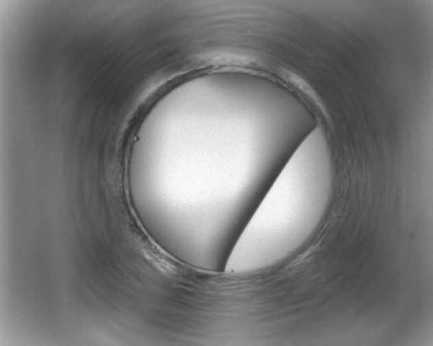 X0000065991027200603030956