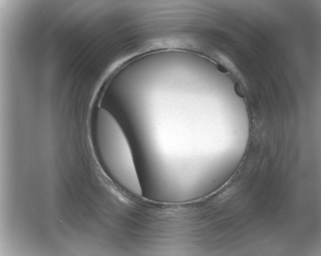 X0000065991035200603030957
