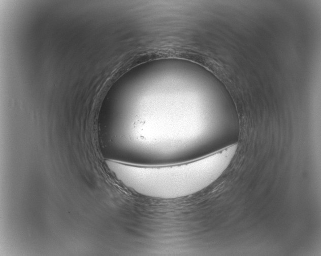 X0000065991057200603030956