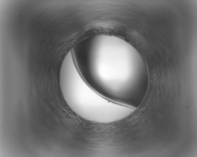 X0000065991061200603030956