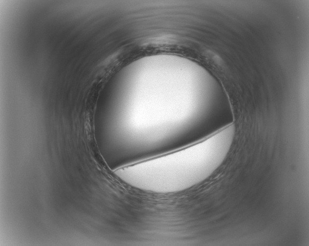 X0000065991062200603030956