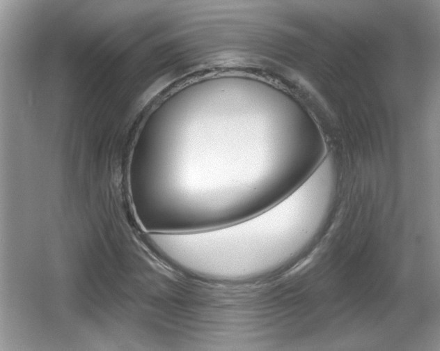 X0000065991065200603030956