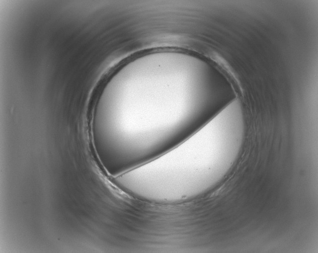 X0000065991072200603030956