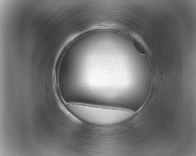 X0000065991080200603030956