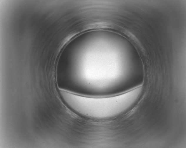 X0000065991081200603030956