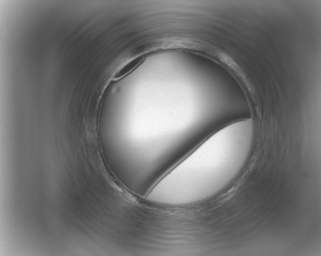 X0000065991089200603030956