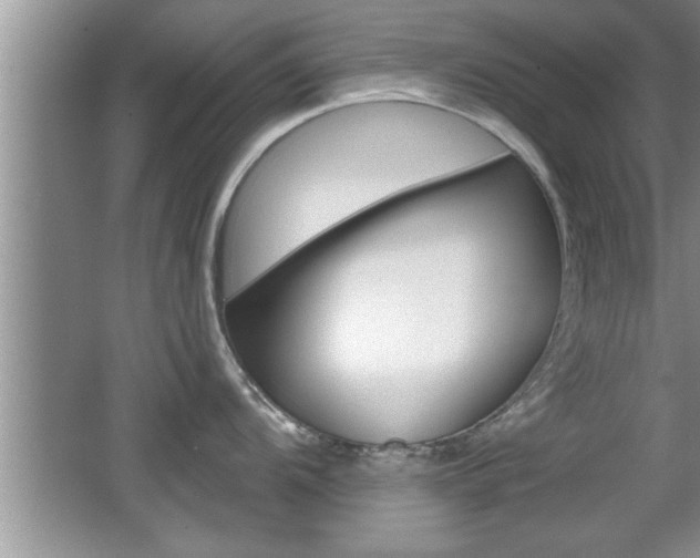 X0000065991104200603030955
