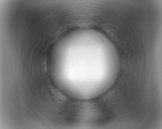 X0000065991106200603030955