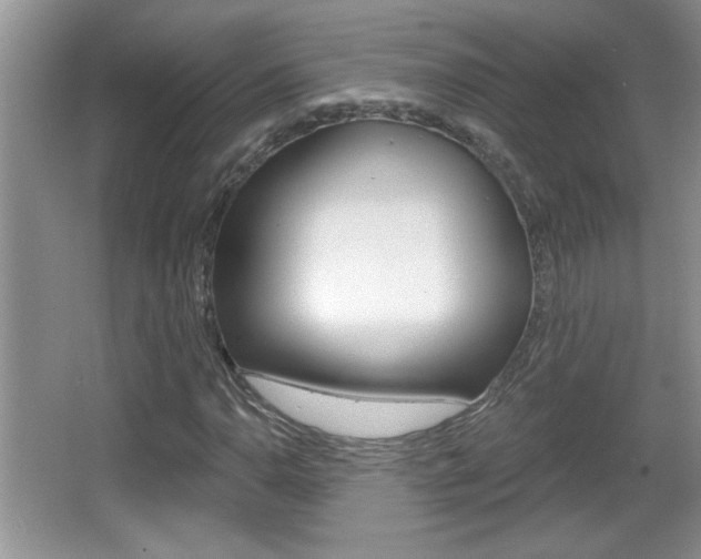 X0000065991110200603030955