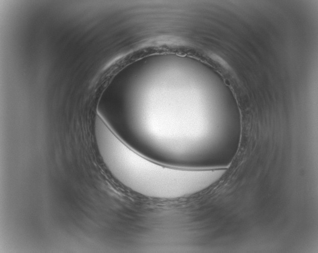 X0000065991112200603030955