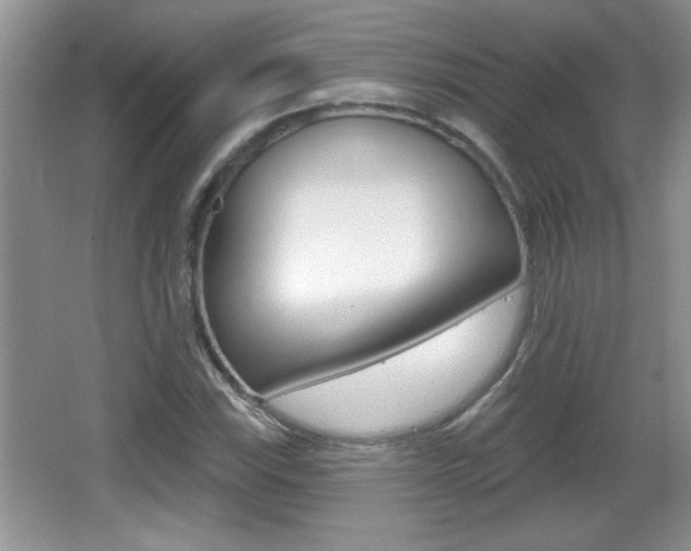 X0000065991115200603030955